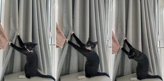 Pet Friendly Curtains: Durable & Safe Window Treatments for Pet Owners