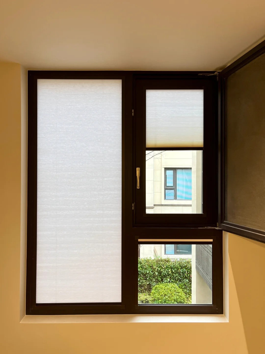 16mm honeycomb shades mounted on a clear glass window, ensuring excellent privacy. The shades are finished in a refined and sophisticated color, enhancing their high-end appeal.