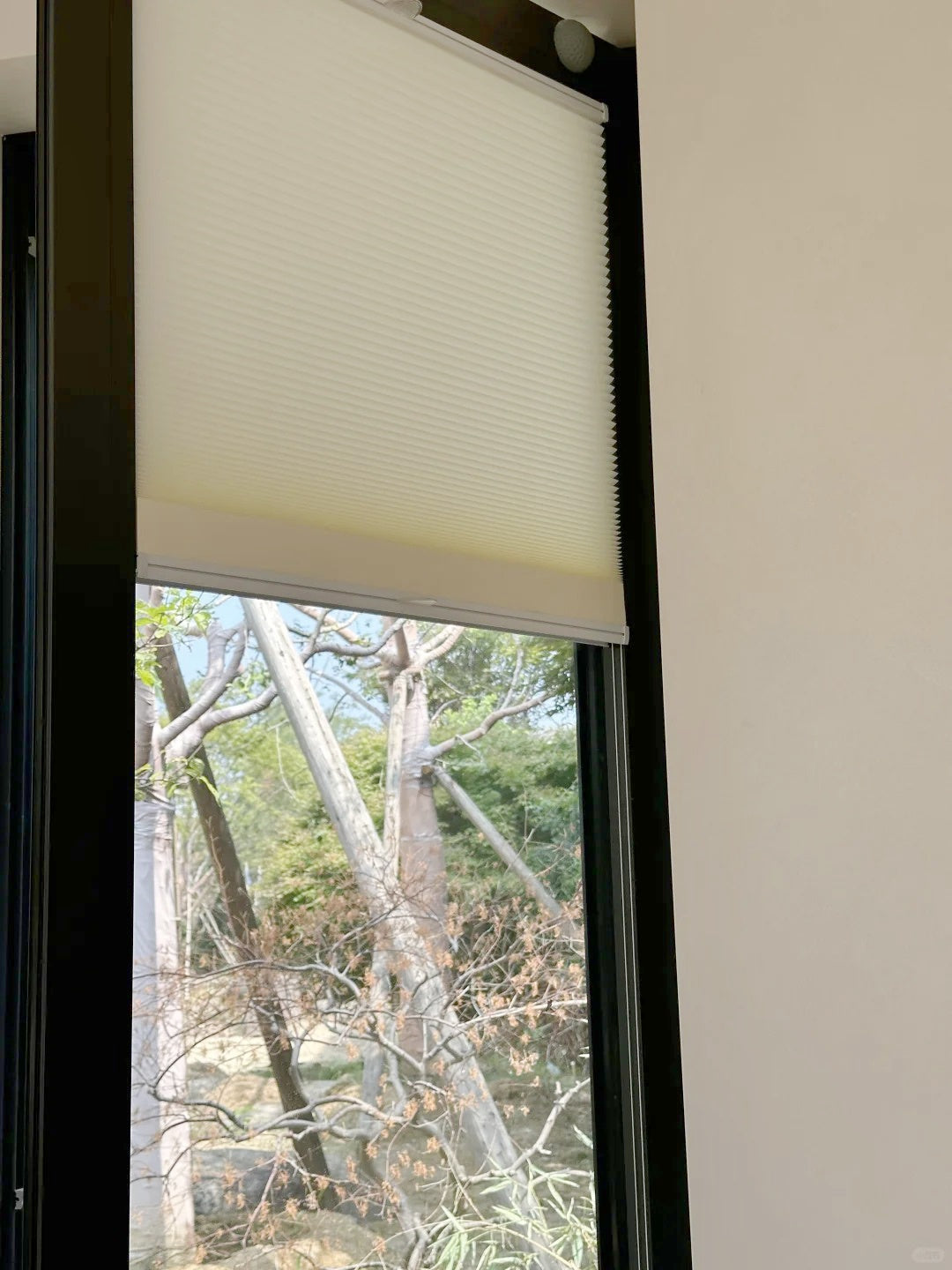 Glass door with honeycomb shade blinds installed, providing privacy and style.