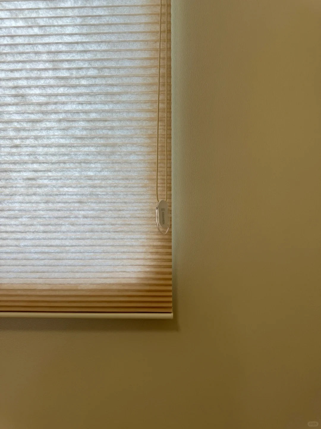 Detailed view of red-brown dual-cell honeycomb shades, showcasing a rich, beautiful gradient and intricate texture.