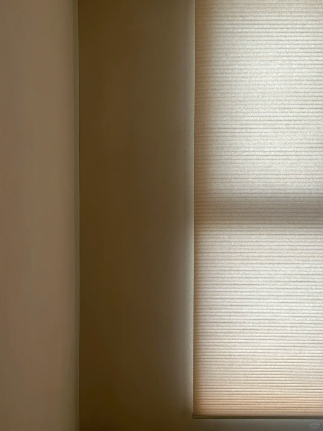 Cordless 38mm premium honeycomb blinds in mulberry silk finish, installed by a window.