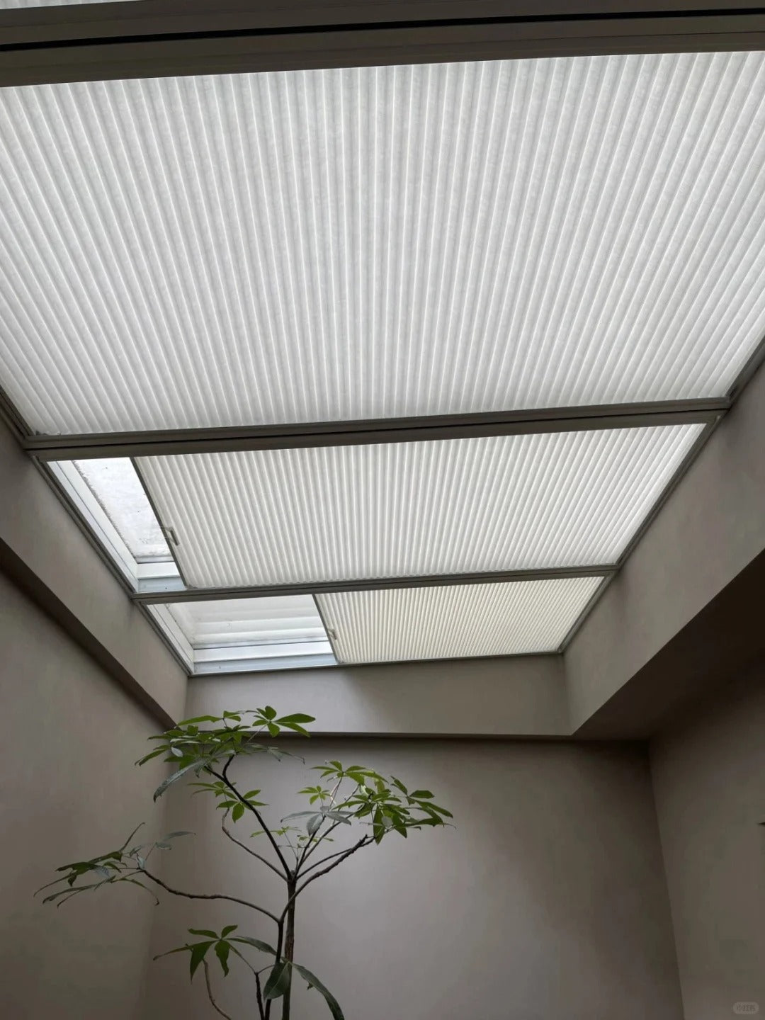 Honeycomb cellular shades covering skylight, offering insulation and sun protection.